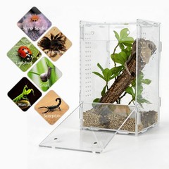 Acrylic Reptile Tank 5x5x8 – Terrarium for Crested Gecko, Lizards, Snakes & Spid