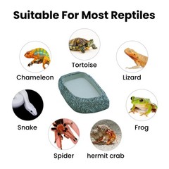 Reptile Feeding Dish, Water Dish and Food Bowl, Resin Rock Reptile Feeding Te…