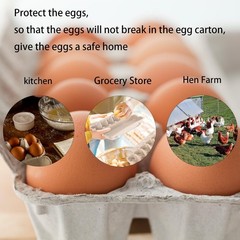 40 Pack Egg Cartons Cheap Bulk, 2×3 Style Reusable Empty Natural Paper Pulp E…