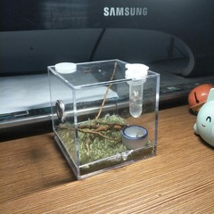 AWXZOM Spider Terrarium, Acrylic Reptile Breeding Box Jumping Clear