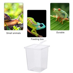 2PCS Reptile Breeding Box Mini Reptile Tank Creeper House for Turtle Lizard