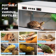 Reptile Terrarium Enclosure with Temperature control 39X16X16″ Reptile Tank US