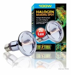 Exo Terra Halogen Basking Spot Lamp