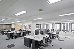 LUXRITE F54T5/841/HO 54W 46 Inch T5 Fluorescent Tube Light Bulb, 4100K Cool W…