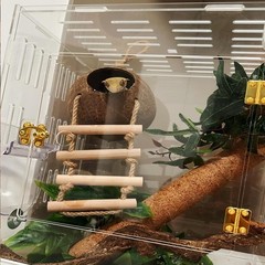 Crested Gecko Coconut Hide with Ladder Shell Natural,Reptile Coco Hut Cave Ha…