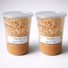 Fruit Fly Culture 2 Pack Live Hydei Melanogaster Feeder Insects Reptiles Inverts