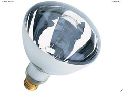Heat Lamp 250 Watt Light R40 Bulb 2189G