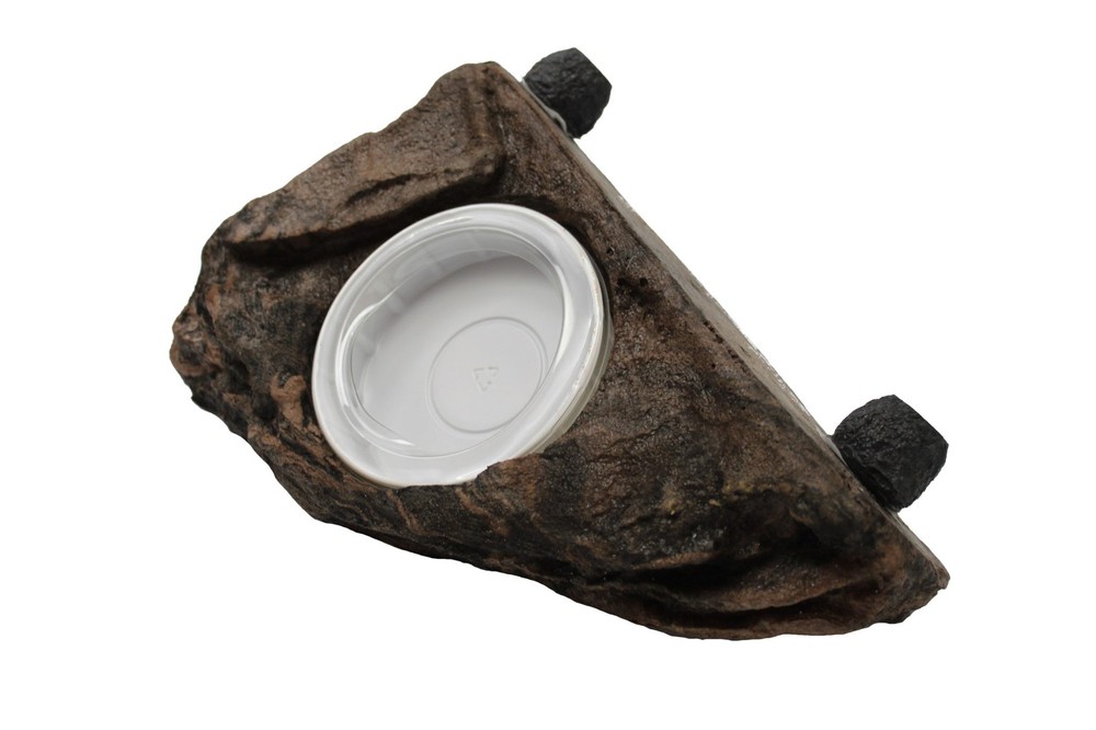 Magnatural Large Worm Feeder Ledge – Earth PT-1655 Bearded Dragon Crested Gec…