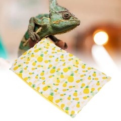 Reptile Sleeping Bag Soft and Warm Bearded Dragon Bed with Pillow for Bearded