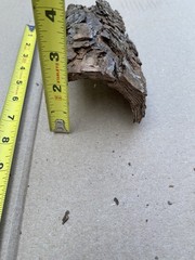 Reptile Terrarium Basking Climb and Shelter- Real Bark set of 2
