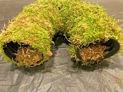 Corrugated Reptile hides For Arboreal Terrestrial Underground and Quarantining