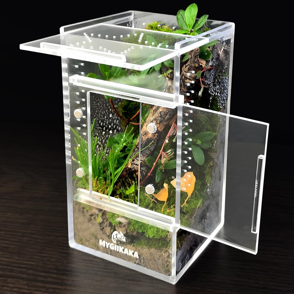 MYGIIKAKA Jumping Spider Enclosure Accessories, 3x3x6 inch, Transparent