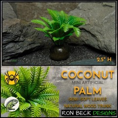 Artificial mini coconut palm natural wood trunk | Reptile Jumping Spider Decor