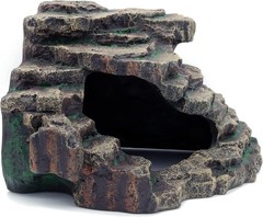 Bearded Dragon Habitat Accessories