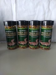 Reptile Lizard Terrarium Supplies
