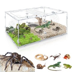 Large Jumping Spider Enclosure 15.75×7.87×9.84 Inch Acrylic Tarantula Reptile