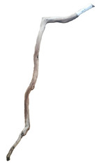 38″ Sanded Manzanita branch cane walking stick #122