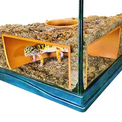 Reptile Corner Underground Cave Viewing Hide | Hognose Snake, Corn Brown