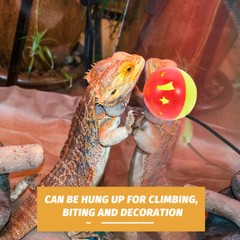 7 Pcs Bearded Dragon Tank Accessories Lizard Toy Ball Chinchilla Toys Reptile