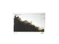 Herpcult Acrylic Reptile Terrarium Gecko Spider Vivarium Enclosure Mini Flat Cl