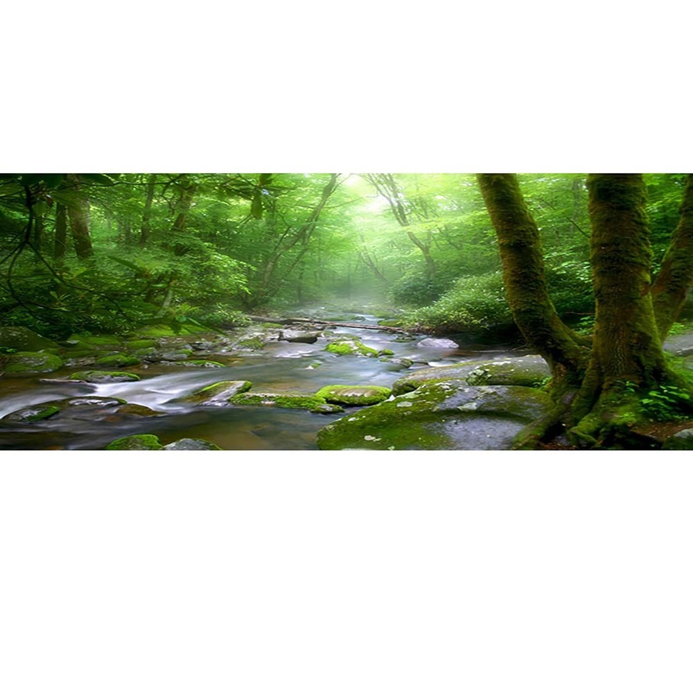 48×18 Inch Rainforest Terrarium Background – Deep Forest Tank Aquarium Backgr…
