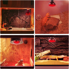 Infrared Heat Lamp 50W 2 Pack，Reptile & Amphibian Basking Spot Light Bulbs, Red