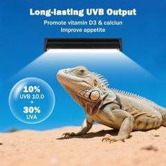 T5 10.0 UVB Reptile Light Fixture, T5 UVA UVB Light Tube Lamp Blub 8W 12″ for…