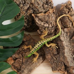 4Pcs Durable Tree Bark Decor Reptile Climbing Platforms Safe Pet Accessories