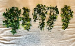 5- Reptile, Snake, Chameleon Vivarium Hanging Plants Artificial Vines Exo-Terra