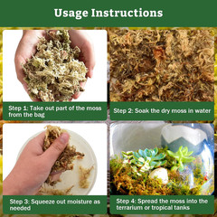 Riare 5.3OZ Premium Sphagnum Moss for Reptiles- 6QT Natural Reptile Moss Dried,