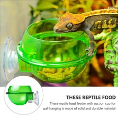 4 Pcs Reptile Feeding Basin Feeder Bowl Gecko Water Dish for Reptiles