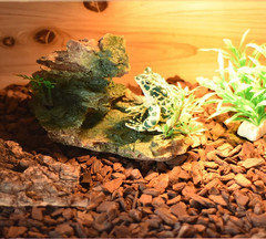 Reptile Small Hide, Turtles Hide Cage, Artificial Plant Rock, Humidified Habitat
