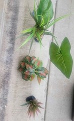 Reptile Vines Plastic Climbing Terrarium Plants and Leaves