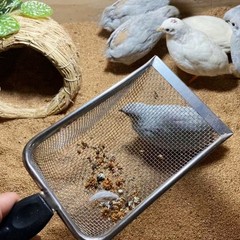 Sand Reptile Scoops Litter Scooper Metal Shovel Sifter Poop Mesh Filtering