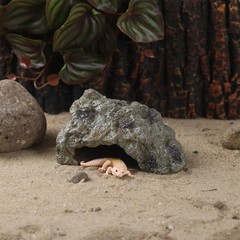 Resin Leopard Gecko Hide True to Nature Reptile Rock Bearded Dragon Hideout
