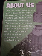 🦎 ECKPO Chameleon Water Feeder Fountain – GREEN – Silent Pump, Filtered Drip –