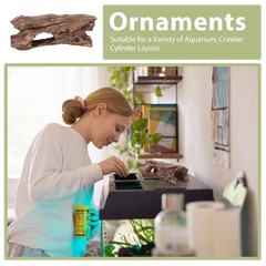 Multi Species Aquarium Driftwood Decoration for Terrarium and Reptile Habitat