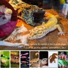 Reptile Hide Cave Resin Log Aquarium Ornament For Gecko Fish 7.3×2.7×2.7 Inch