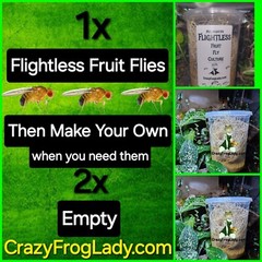Fruit Fly Culture Flightless 1 and 2 EMPTY Lizard And Dart Frog Food Live