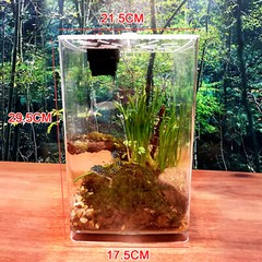 Large Acrylic Reptile Terrarium Gecko Lizard Spider Vivarium Enclosure Tank US~