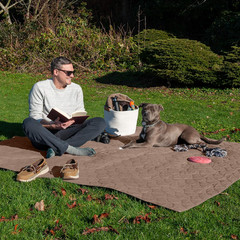 Waterproof & Non-Slip Queen Size Mattress Cover Protector for Dogs & Cats