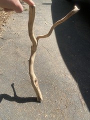 Manzanita Wood, Driftwood, Reptile Tank Decor, Fishtank aquascape Or Terrarium