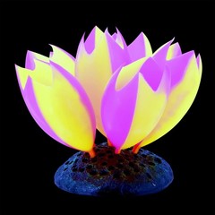 Set Of 2 Underwater Treasures Glow Action Sea Squirts – Orange & Rose