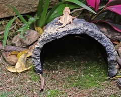 Rock Cave Habitat Hidden for Reptile and Amphibians.Terrarium & Aquarium Decor