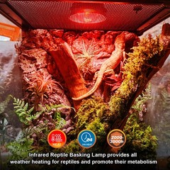 2 Pack Infrared Heat Lamp Bulbs, 100W Reptile Heat Emitter Infrared Basking S…