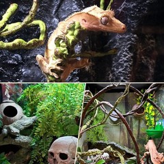 PINVNBY 7 PCS Reptile Plants Vine, Terrarium Hanging Flexible Climbing Artifi…