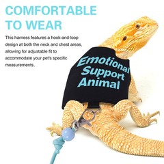 Adjustable Bearded Dragon Harness and Leash Set for Outdoor Training