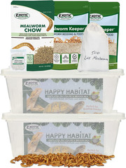 Mealworm Breeder Kit (Expanded) – Breed Live Feeder Worms for Hedgehogs, Sugar G