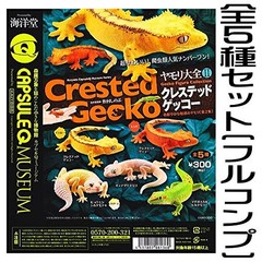 capsuleQ Gecko Encyclopedia 2 Crested Gecko [Complete set of all 5 types]