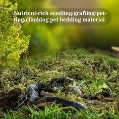 Sphagnum Moss for Reptiles -Terrarium Moss for Reptiles Peat Moss (15.8, Ounces)